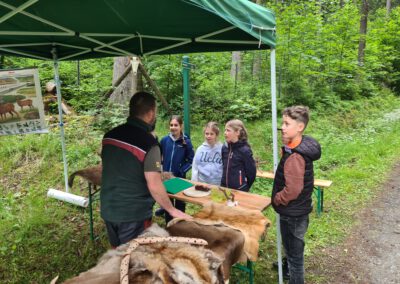 Waldjugendspiele