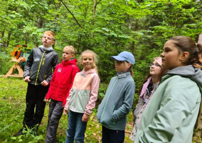 Waldjugendspiele