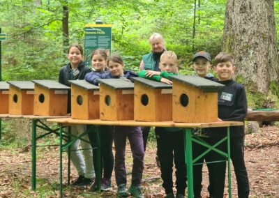 Waldjugendspiele