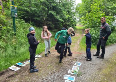 Waldjugendspiele