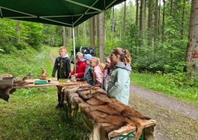 Waldjugendspiele