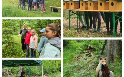 Waldjugendspiele 11.6.2025 – Klasse 3a und 4