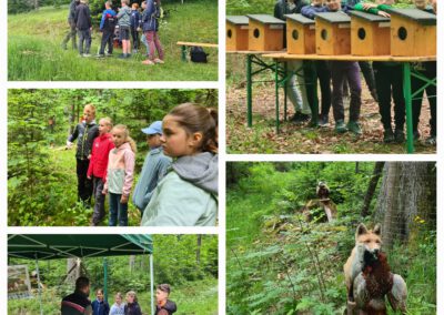 Waldjugendspiele