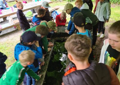 Waldjugendspiele