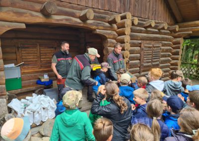 Waldjugendspiele
